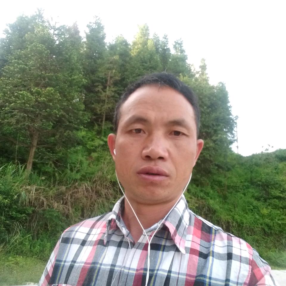 杨宝