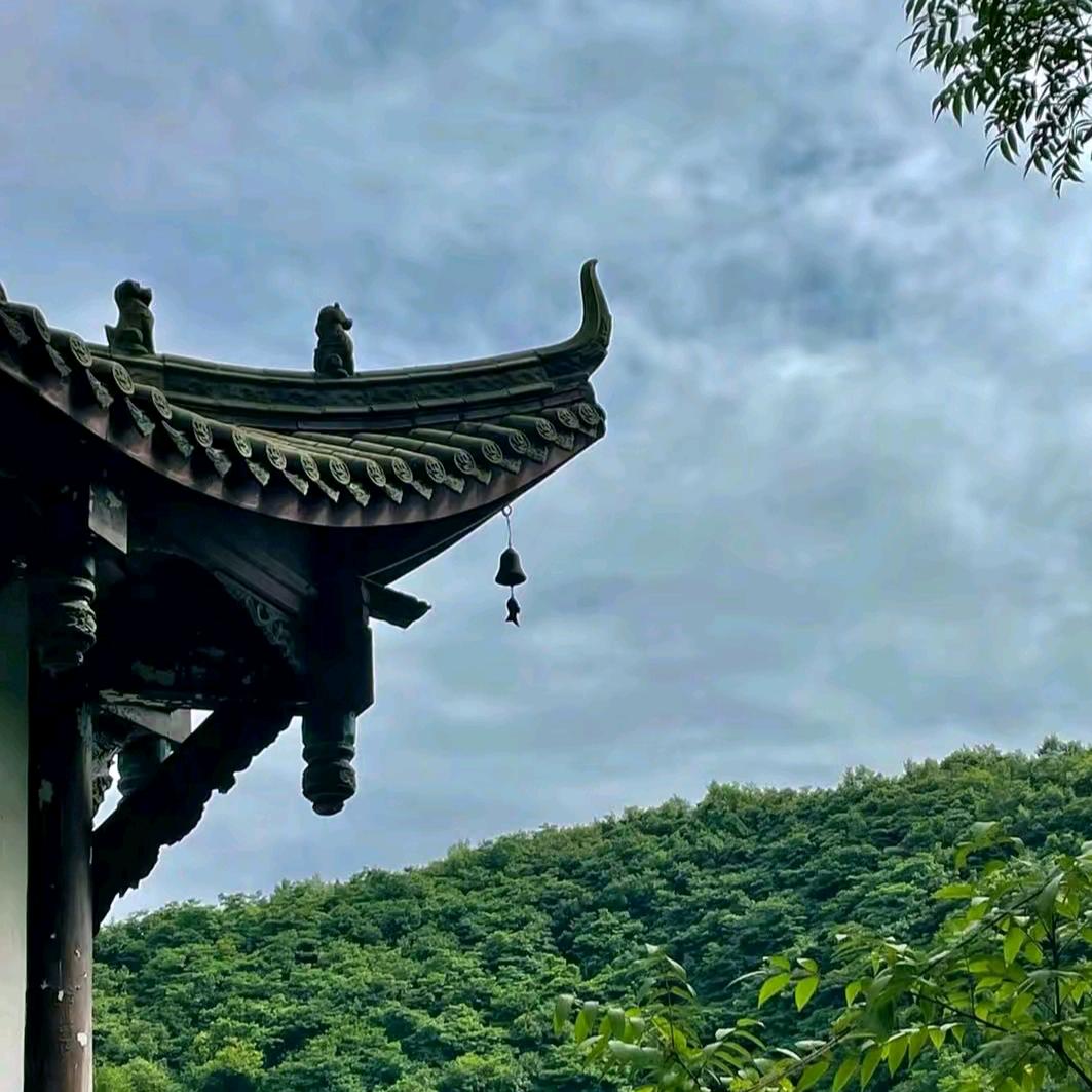 辰己