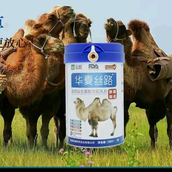 新疆华夏丝路