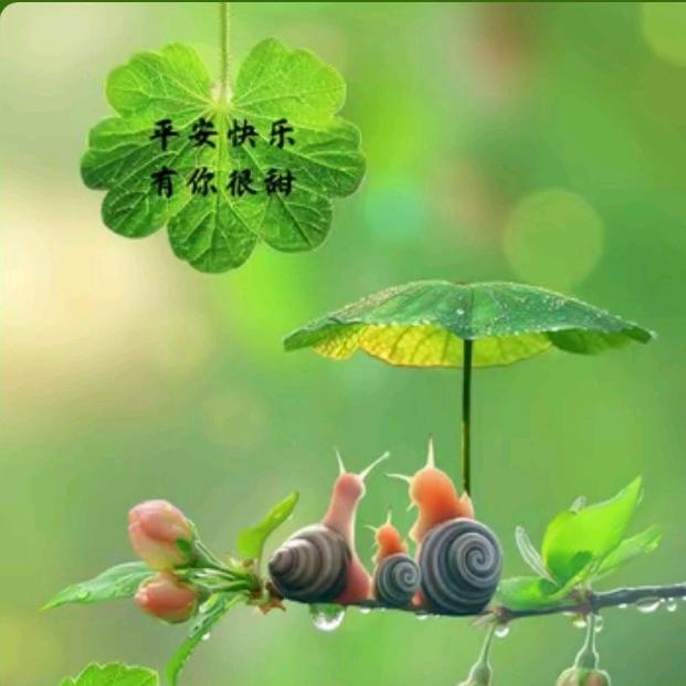 阿热