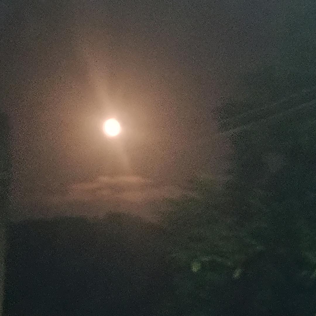 小龙虾