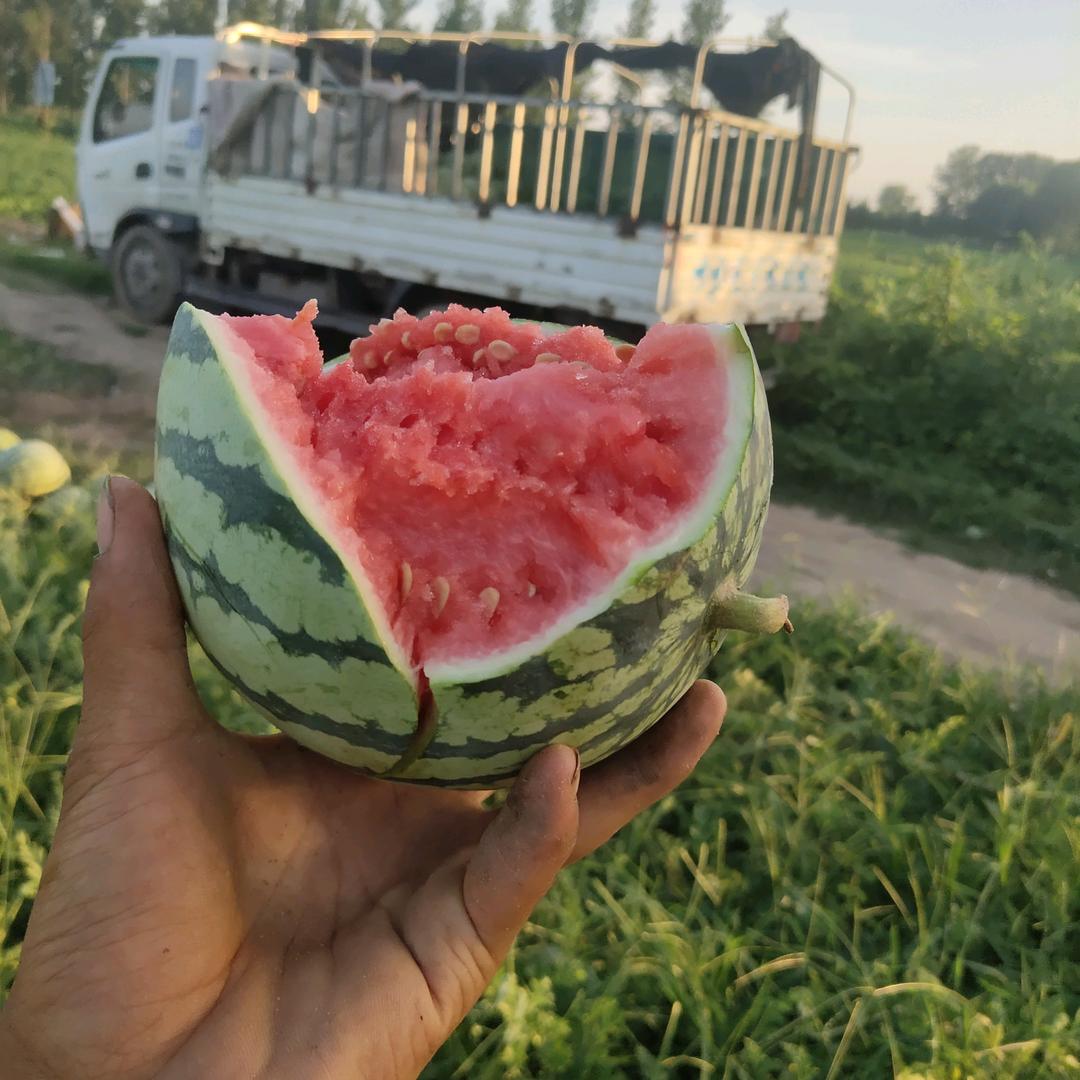 飞洋