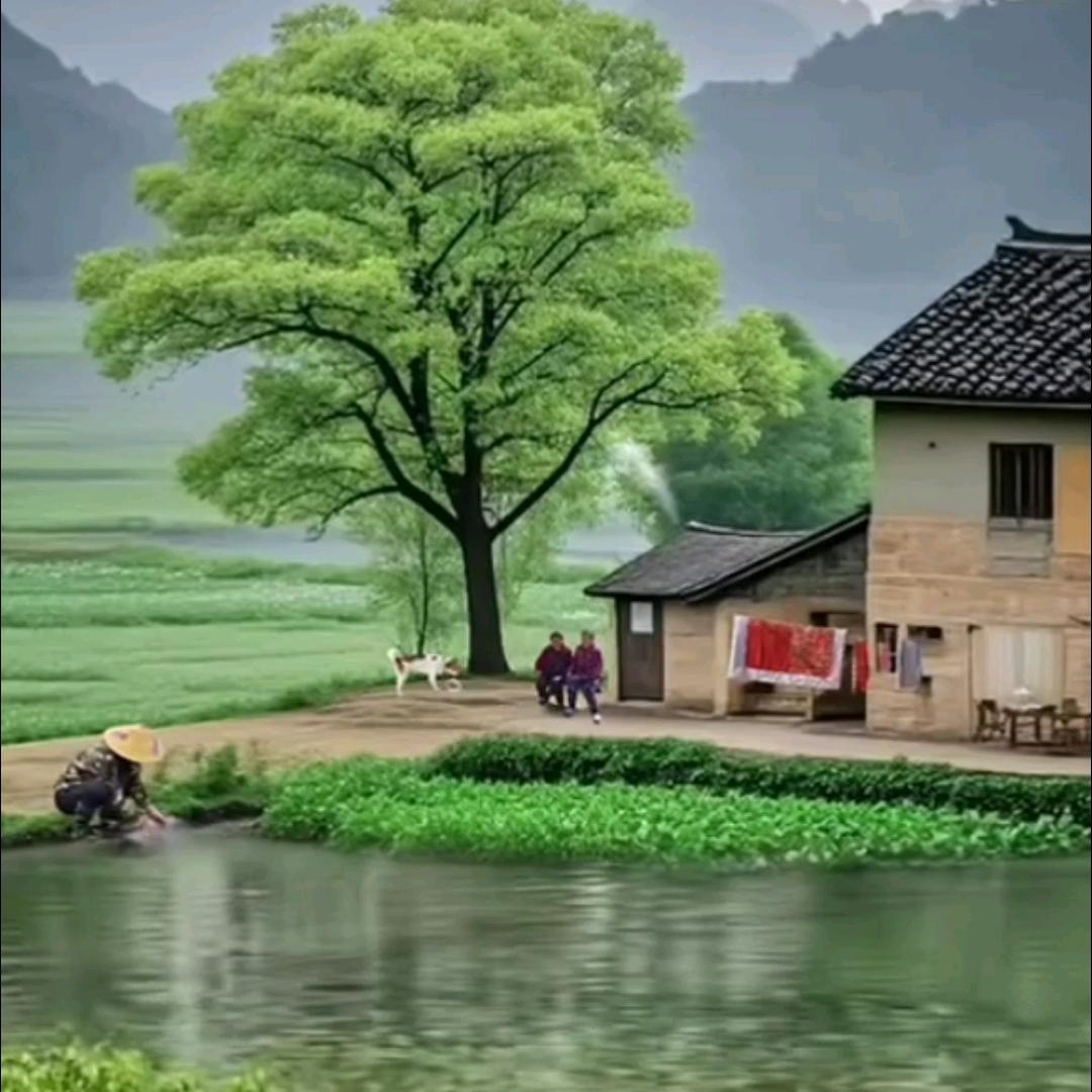 圆圆姐🎤