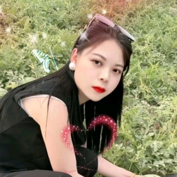 月季花