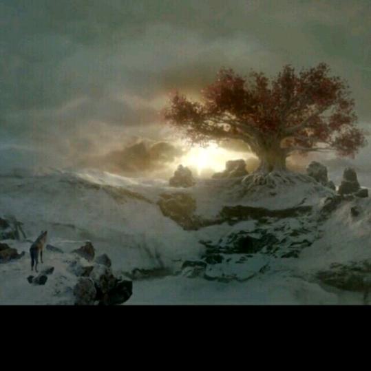 从此江湖是路人