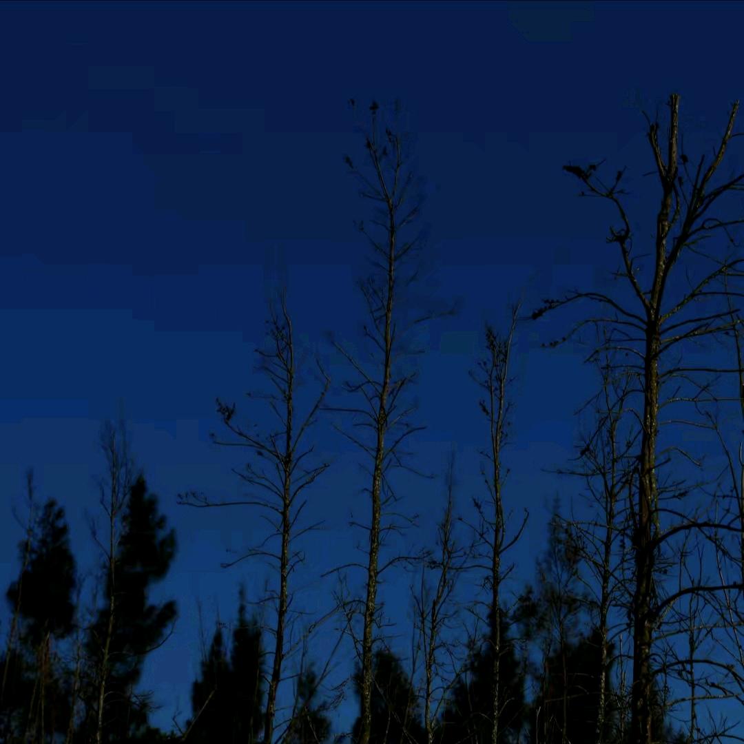 星晴