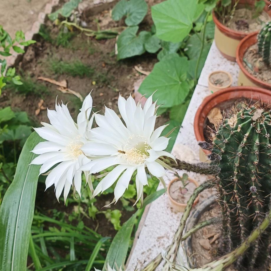 越佳五金建材批发部广州格艾和块户直播号