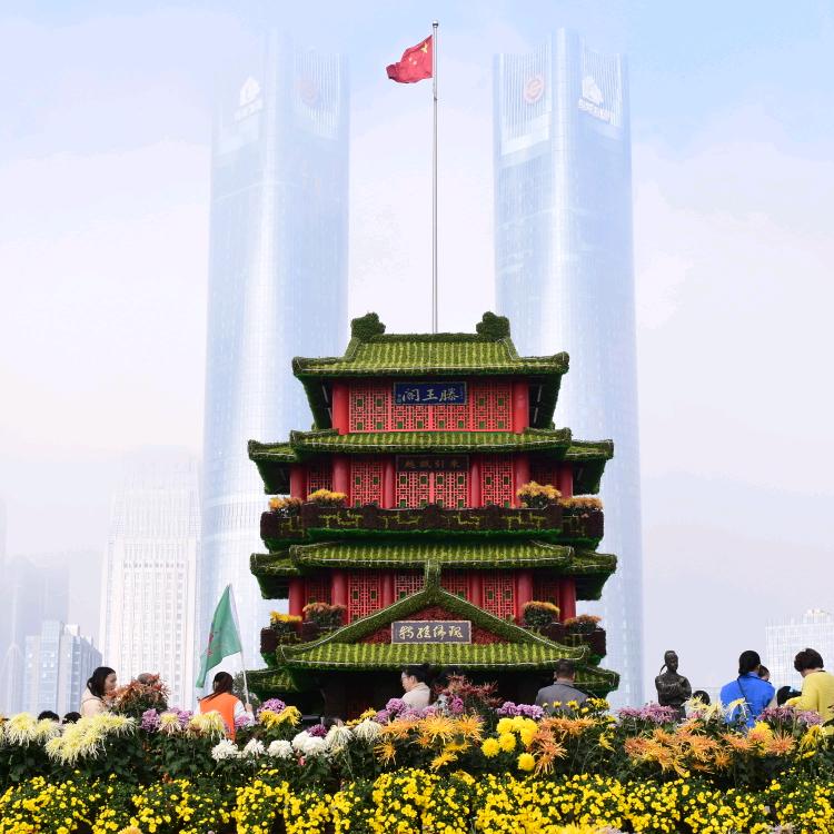几十个为什么！？