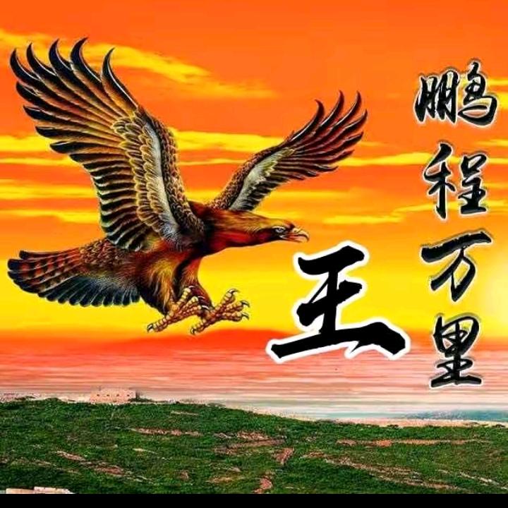 傲雪寒梅