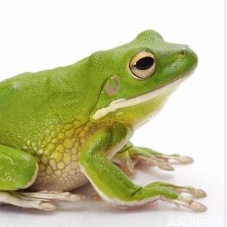 哈尔滨初高中补课的安先生