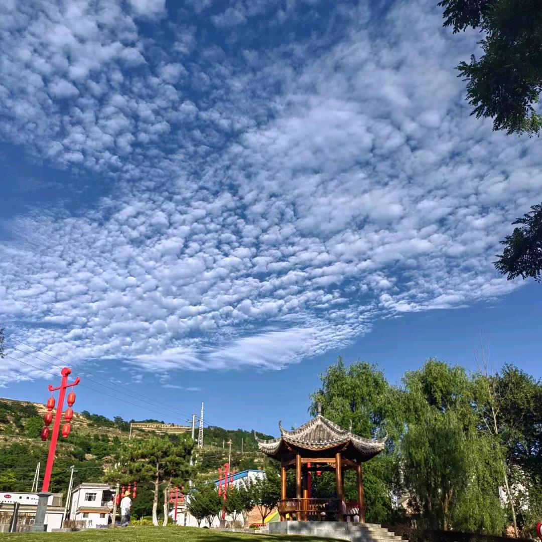 阿芳