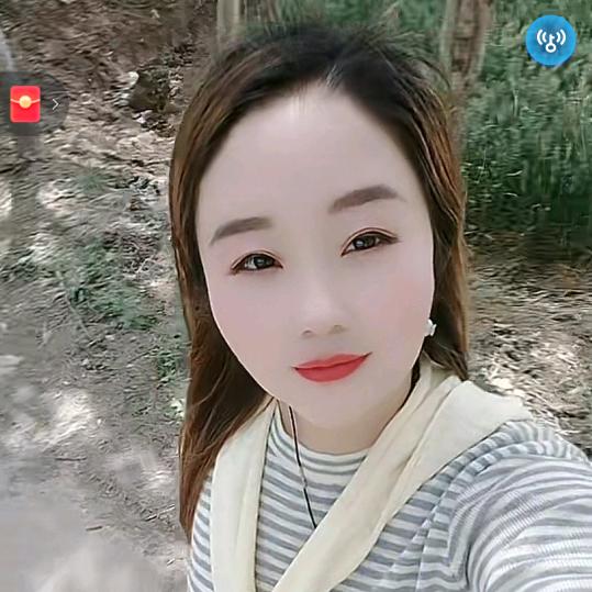 小杨杨