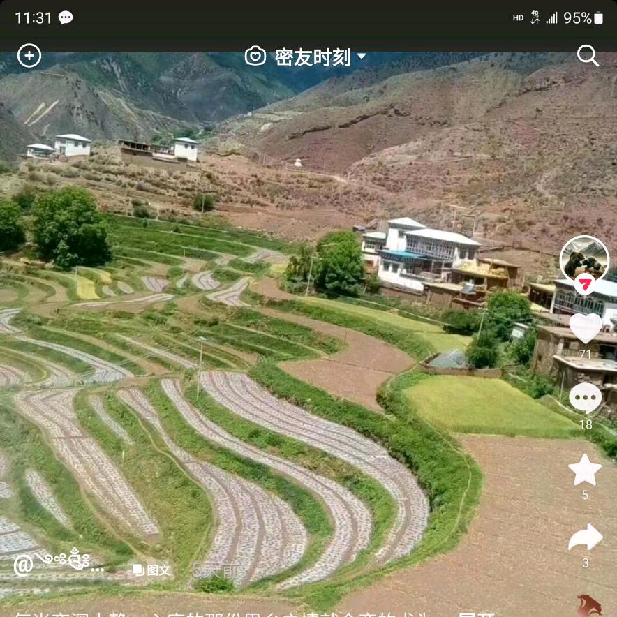 天下没有后悔药
