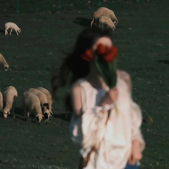 国宴我踏马吃吃吃