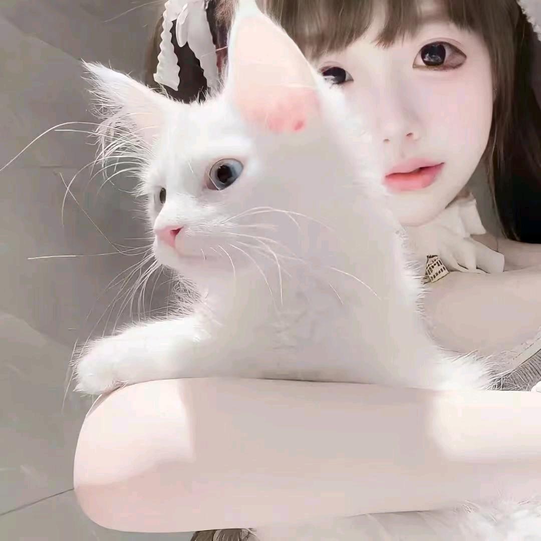 呃呃