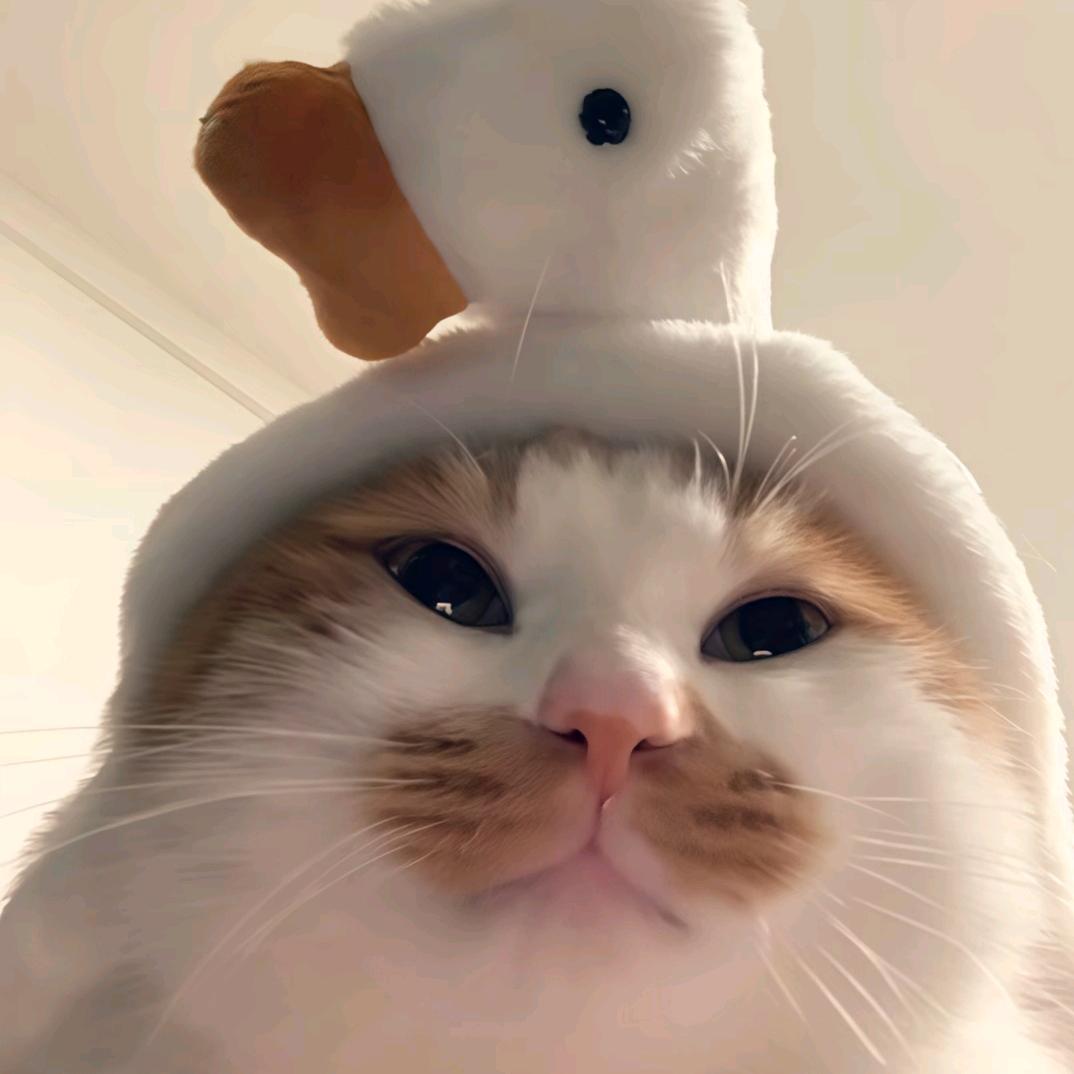 与秋ᥫᩣ