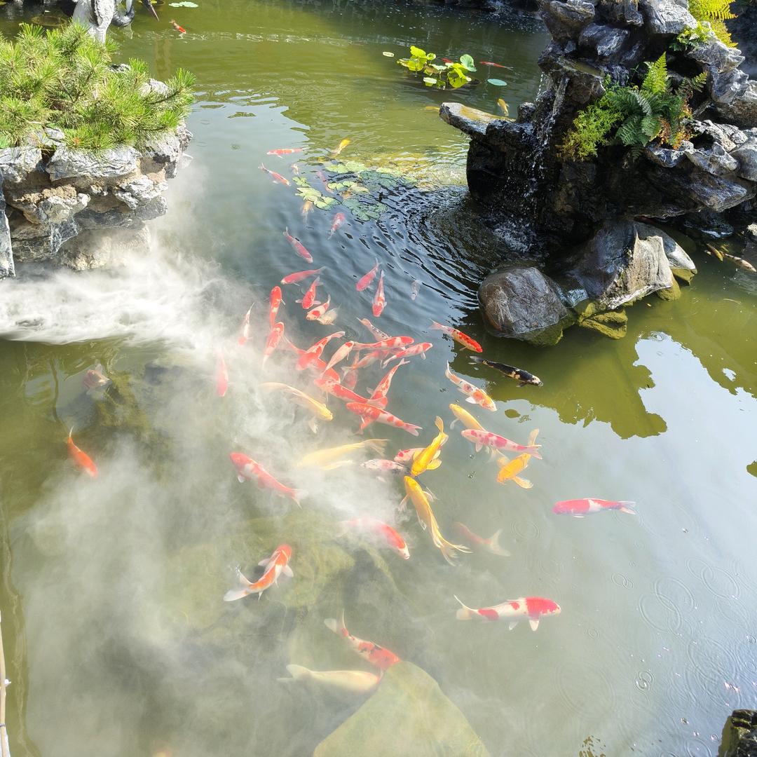 小诺旅游