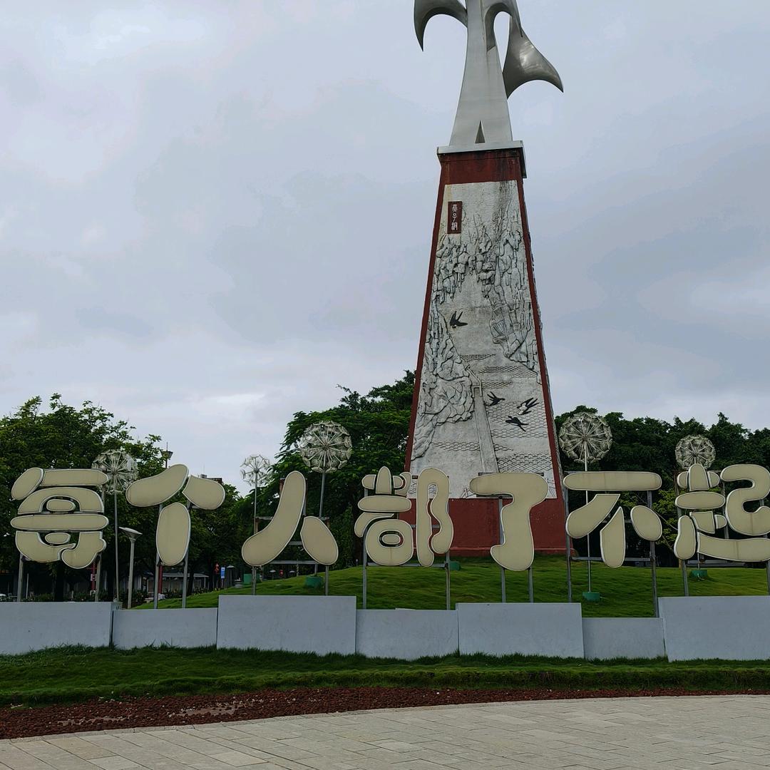 白色的黑马