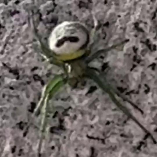 封印🔒后会无期