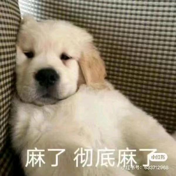 往事如烟