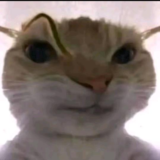 三角洲纯绿跑刀