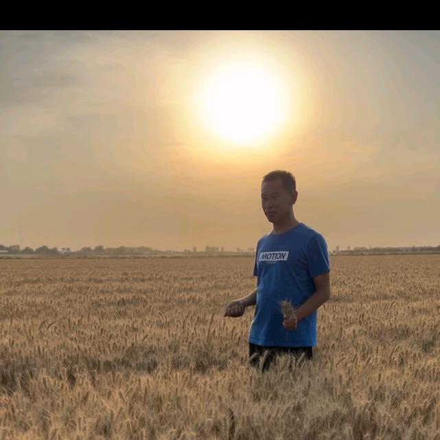 黑小麦兵书记