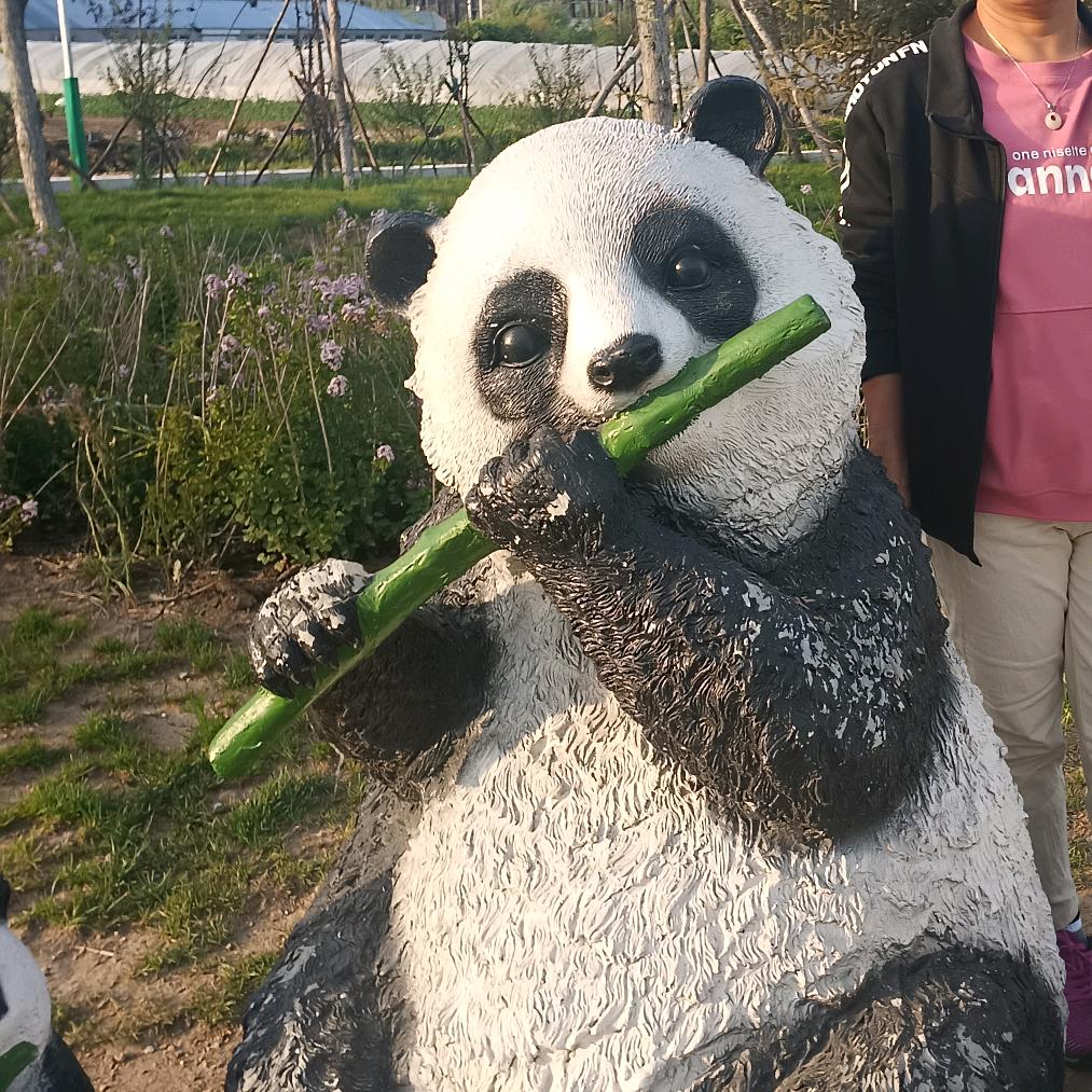 用户2882277093592