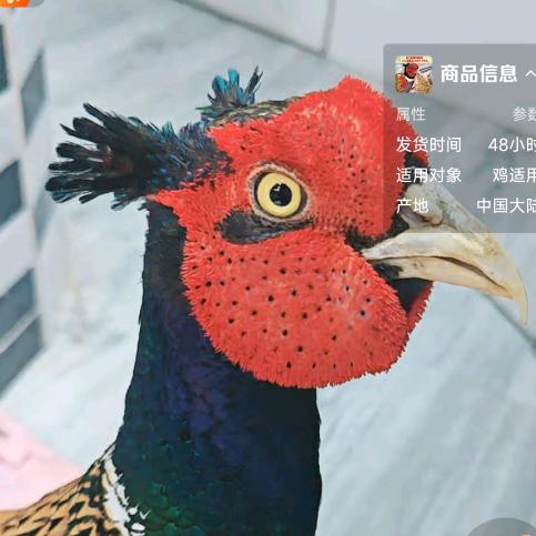 世外桃园老板娘