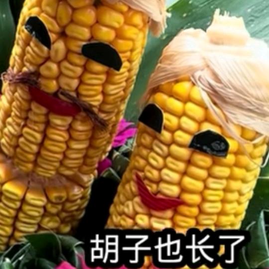 哥想找老婆😄