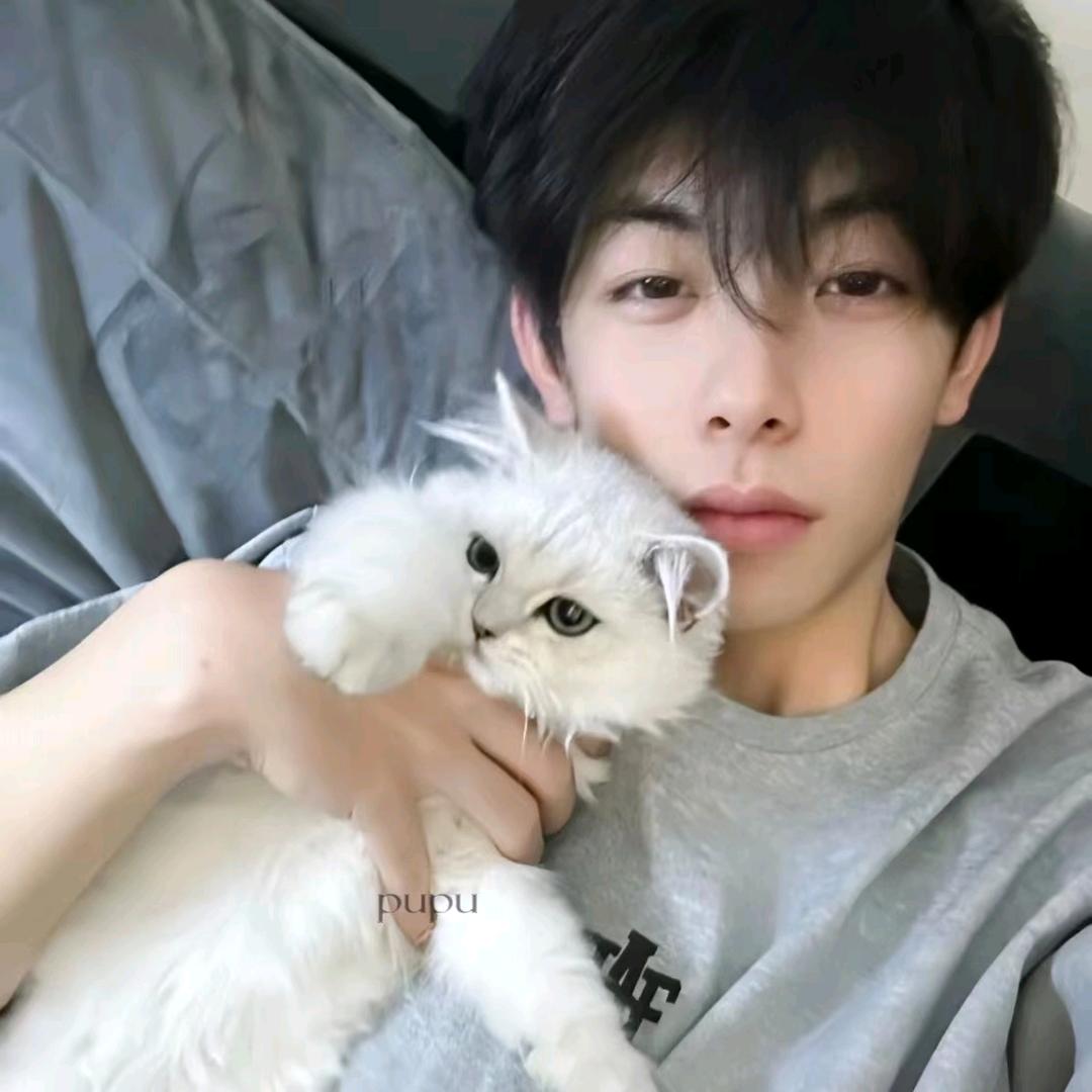 猫与少年