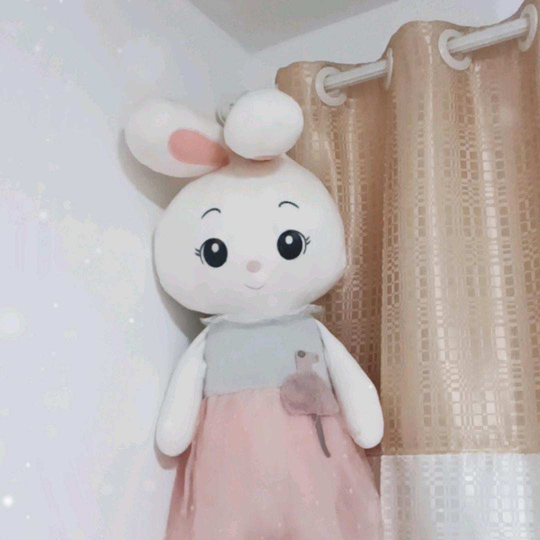 🐰兔兔 🐰