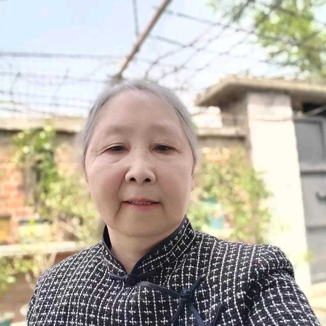 向阳奶奶2