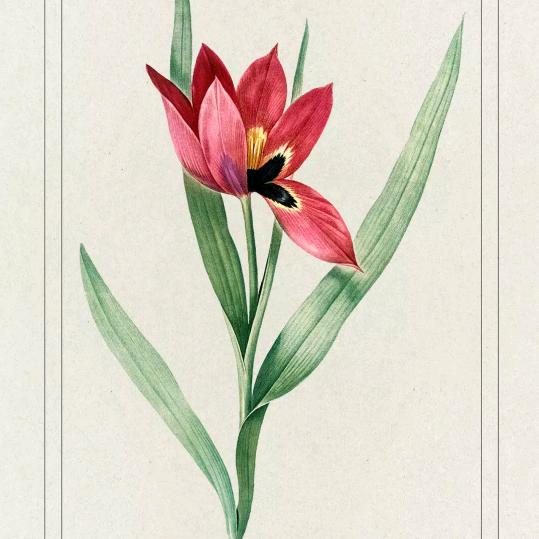 甜蜜蜜