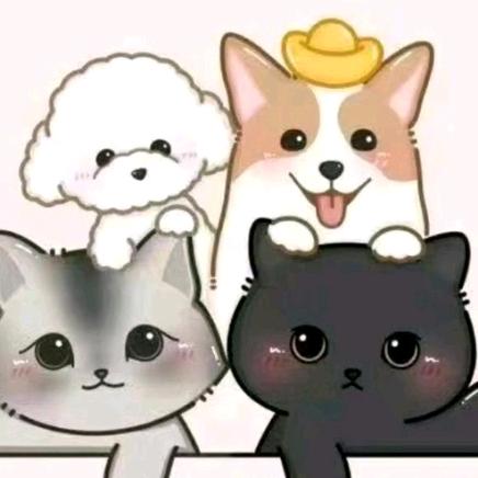 萌动时光