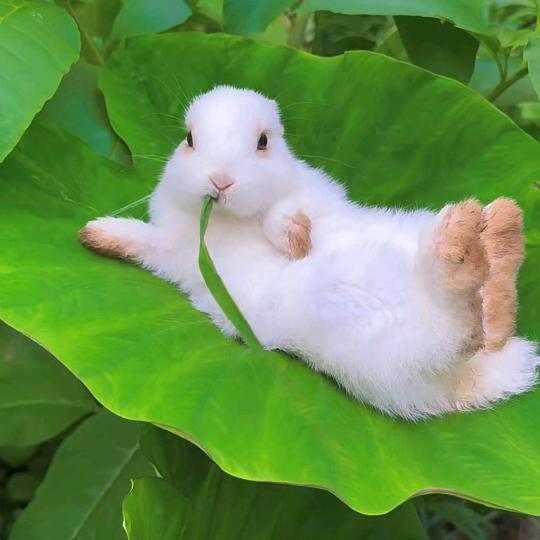 ⠀⠀⠀别送这号提不了