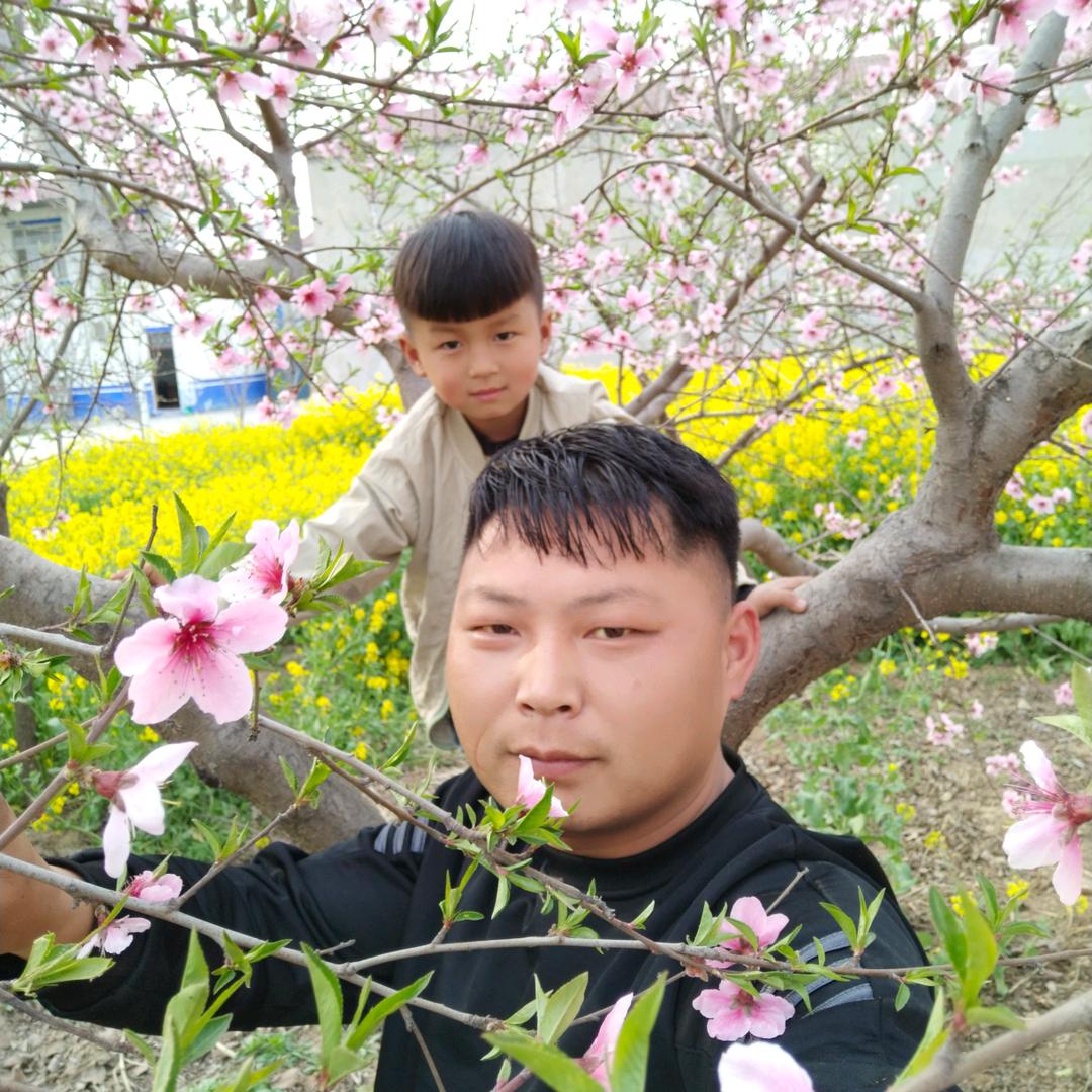 伤心在二零一六
