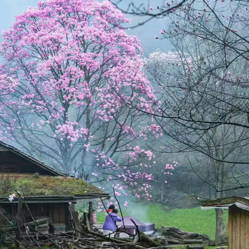 花好月圆