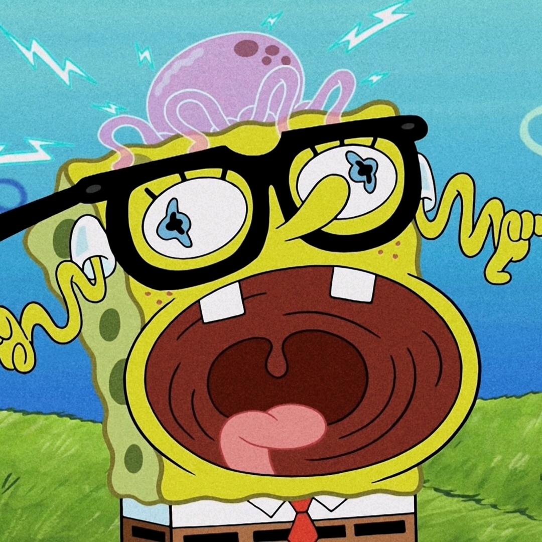 早起鸟与夜猫子🐦