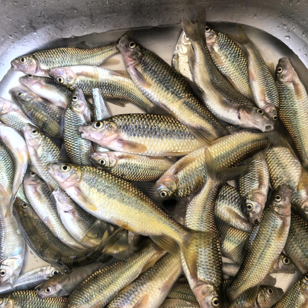在下常挂底🎣🎣