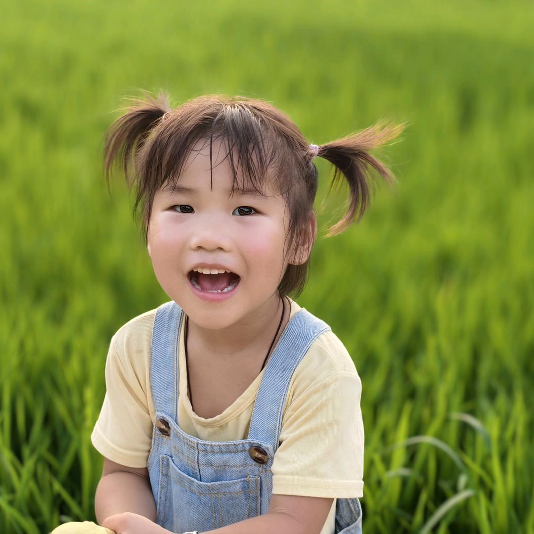 你家大宝
