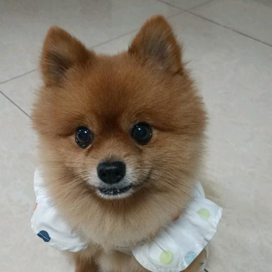 心情很美丽