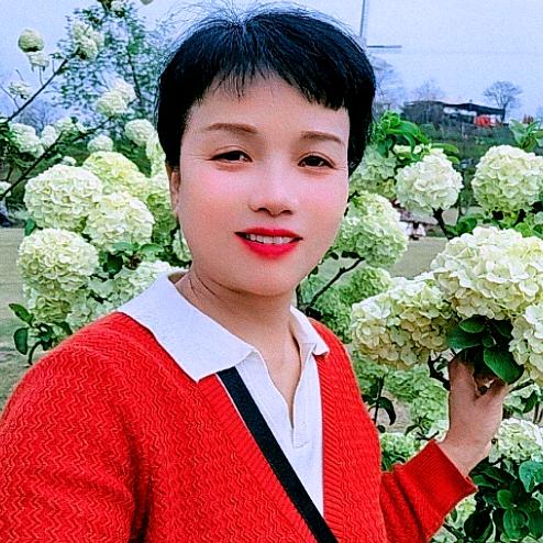 秀姐姐