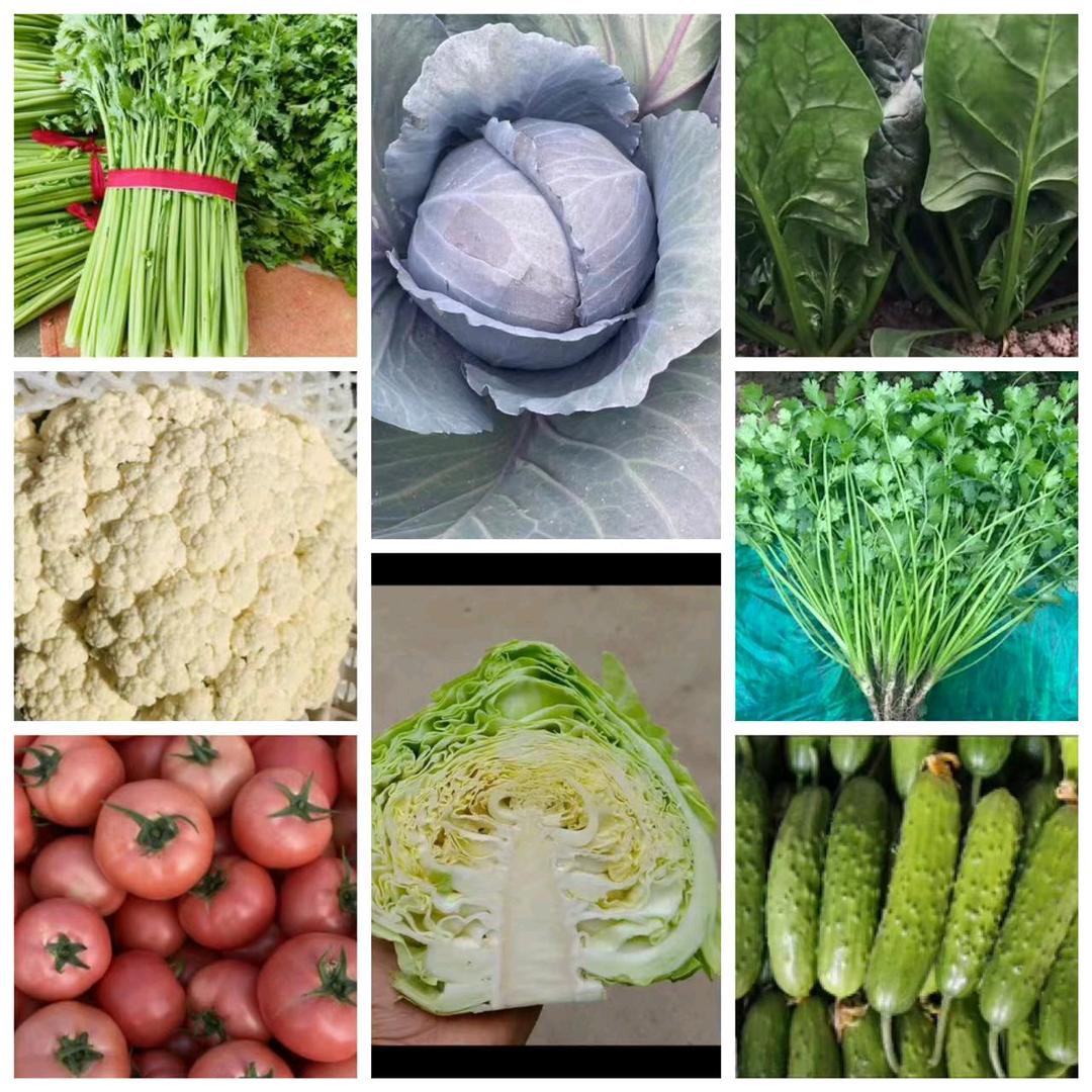 高峰蔬菜，瓜果