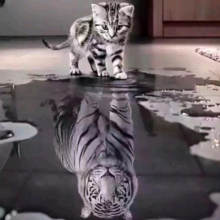 🐎运满💫乾坤🐎