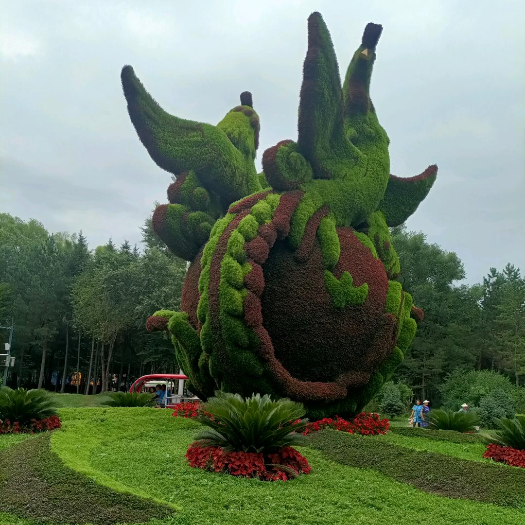 峡谷的菜鸟