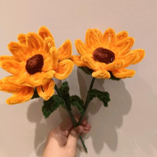 阳光熙照