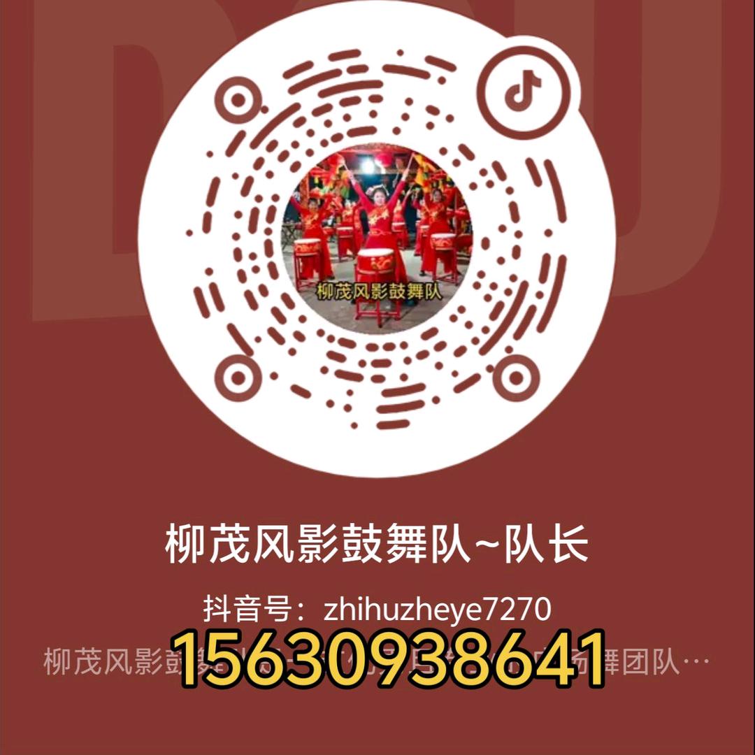 柳茂风影鼓舞队