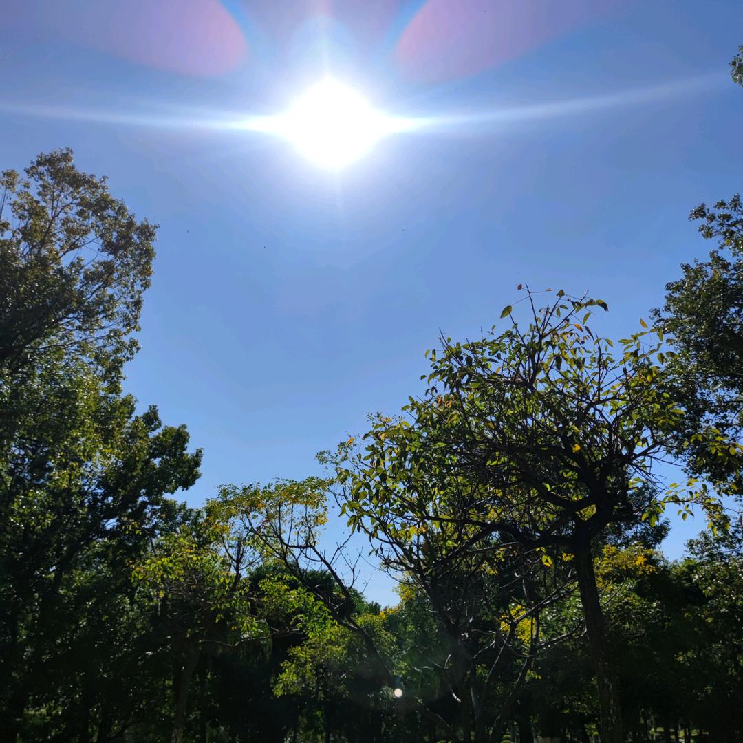 夏天的风和雨🌧