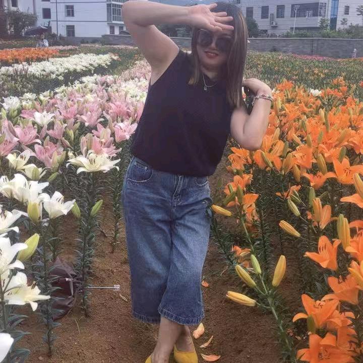 番燕燕