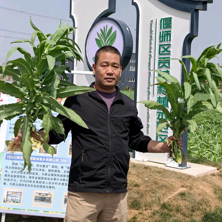 河南菜篮子村支书李志强